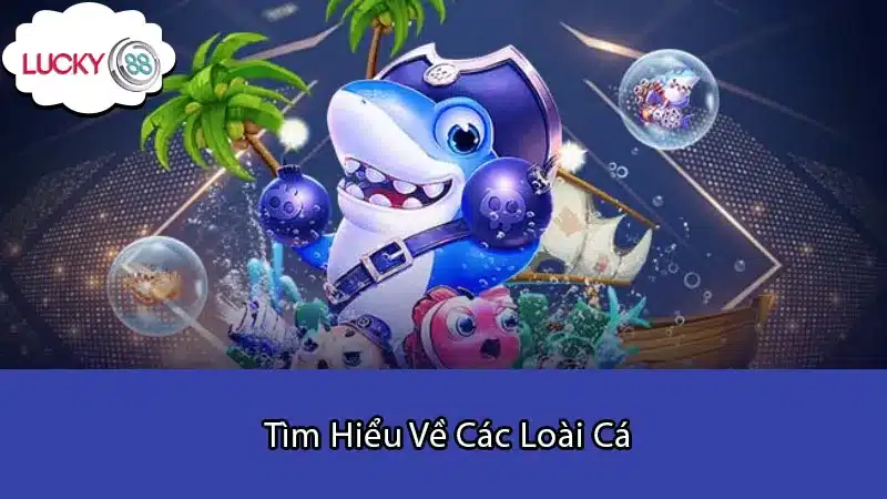 Tìm Hiểu Về Các Loài Cá